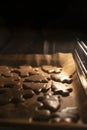 Gingerbread cookies in the oven. Soft warm light, selective focus