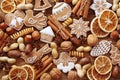 Gingerbread cookies and spices Royalty Free Stock Photo