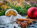 Gingerbread cookies with sugar icing and coconut flakes