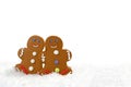 Gingerbread Couple Looking at Eachother in Love Royalty Free Stock Photo