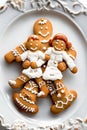 Gingerbread Family Decorates Human Cookie, Holiday