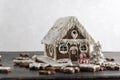 Gingerbread house and many gingerbread cookies. Christmas traditional baking