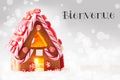 Gingerbread House, Silver Background, Joyeux Noel Means Merry Christmas Royalty Free Stock Photo