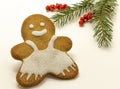 gingerbread man cookie decorated with royal icing, with icing sugar and fir branh on white background. Christmas food Royalty Free Stock Photo