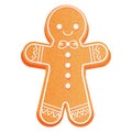 Gingerbread man cute christmas cookie character textures with decorations in cartoon style isolated on white background. Royalty Free Stock Photo