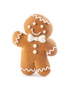 Gingerbread man isolated on white. Delicious Christmas cookie Royalty Free Stock Photo