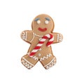 Gingerbread man isolated on white. Delicious Christmas cookie Royalty Free Stock Photo