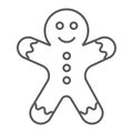 Gingerbread man thin line icon, christmas and sweet, cookie sign, vector graphics, a linear pattern