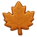 Gingerbread Maple Leaf Cookie with Detailed Veins on White Background Royalty Free Stock Photo
