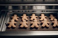 Delicious fresh baked gingerbread men in the oven Royalty Free Stock Photo