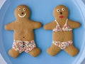 Gingerbread People with Sugar Candy Swimwear