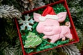 Gingerbread piggy in carton box on the background with fir branches and golden balls, top view. Holiday sweets. New Year`s and Ch