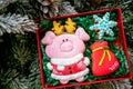 Gingerbread piggy in carton box on the background with fir branches and golden balls, top view. Holiday sweets. New Year`s and Ch