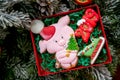 Gingerbread piggy in carton box on the background with fir branches and golden balls, top view. Holiday sweets. New Year`s and Ch