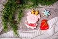 Gingerbread piggy and snowflake on the background with fir branches, flat lay, top view. Holiday sweets. New Year`s and Christmas