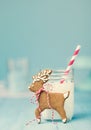 Gingerbread Reindeer Christmas Cookie with Milk over blue