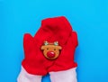 Gingerbread in the shape of a deer head on the palms in red mittens of Santa Claus on a blue background. Christmas, new year 2021. Royalty Free Stock Photo