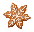 Gingerbread Snowflake Cookie Isolated on White Background