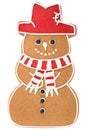 Gingerbread snowman