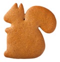 Gingerbread Squirrel Cookie Royalty Free Stock Photo