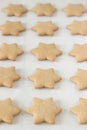 Gingerbread star cookie for Christmas on white background. Royalty Free Stock Photo