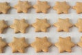 Gingerbread star cookie for Christmas on white background. Royalty Free Stock Photo