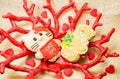 Gingerbread sweet little bear and cat in red coral shape vase