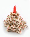 Gingerbread tree with the candle