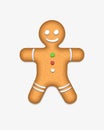 Gingerbread vector