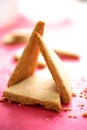 Gingerbreads in white plastic bowl