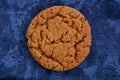 Gingersnap on blue Royalty Free Stock Photo