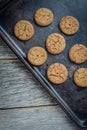 Gingersnap cookies for Christmas Royalty Free Stock Photo