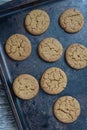 Gingersnap cookies for Christmas Royalty Free Stock Photo