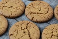 Gingersnap cookies for Christmas Royalty Free Stock Photo