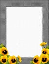 Gingham Check Frame. Gold Pansy Flowers, Polka Dot