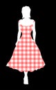 Gingham Country And Western Girl Night Out