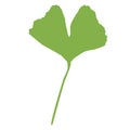 Gingko green leaf icon. A pair of leaves of the gingko tree. Gingko bilboa sign. flat style Royalty Free Stock Photo