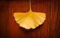 Gingko leaf Royalty Free Stock Photo