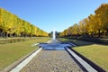 Gingkoes and fountain in Showa Kinen Park