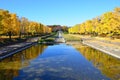 Gingkoes and canal in Showa Kinen Park in Tokyo Royalty Free Stock Photo