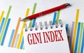 GINI INDEX text on a notebook with chart and pen business concept Royalty Free Stock Photo