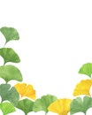 Ginkgo ancient tree fan-shaped leaves frame watercolor illustration, maidenhair tree leaf healthy eco-friendly floral