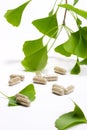 Ginkgo Biloba