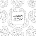 Ginkgo Biloba, background 2