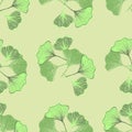 Ginkgo biloba hand drawn seamless pattern. Textile and wrapping paper design Royalty Free Stock Photo