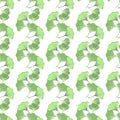 Ginkgo biloba hand drawn seamless pattern. Textile and wrapping paper design Royalty Free Stock Photo