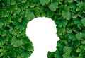 Ginkgo Biloba Human Royalty Free Stock Photo