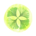 Ginkgo biloba icon from 4 leaves. Badge or logo for packaging useful plant ginkgo