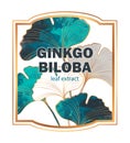 Ginkgo Biloba vector illustration of unusual leaves