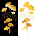 Vector golden branch silhouette of Gingko or Ginkgo biloba tree. Bunch with leaf in gold isolated on white and black background.